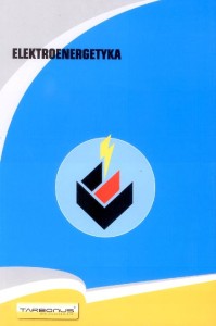 Elektroenergetyka